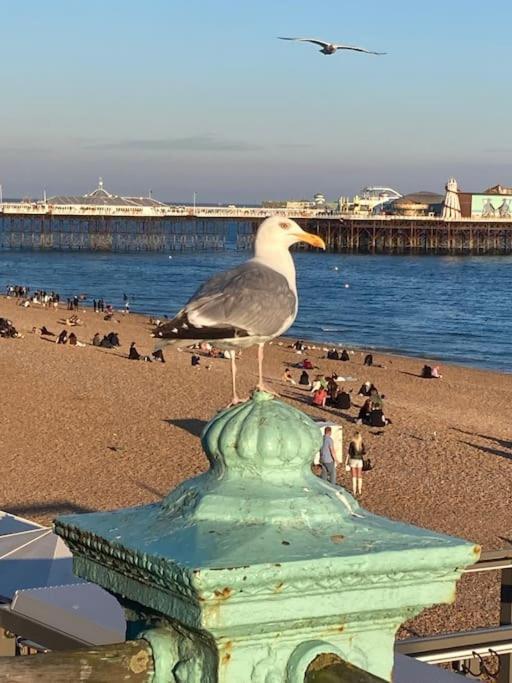 Regency Brighton Seafront Apartment Bagian luar foto